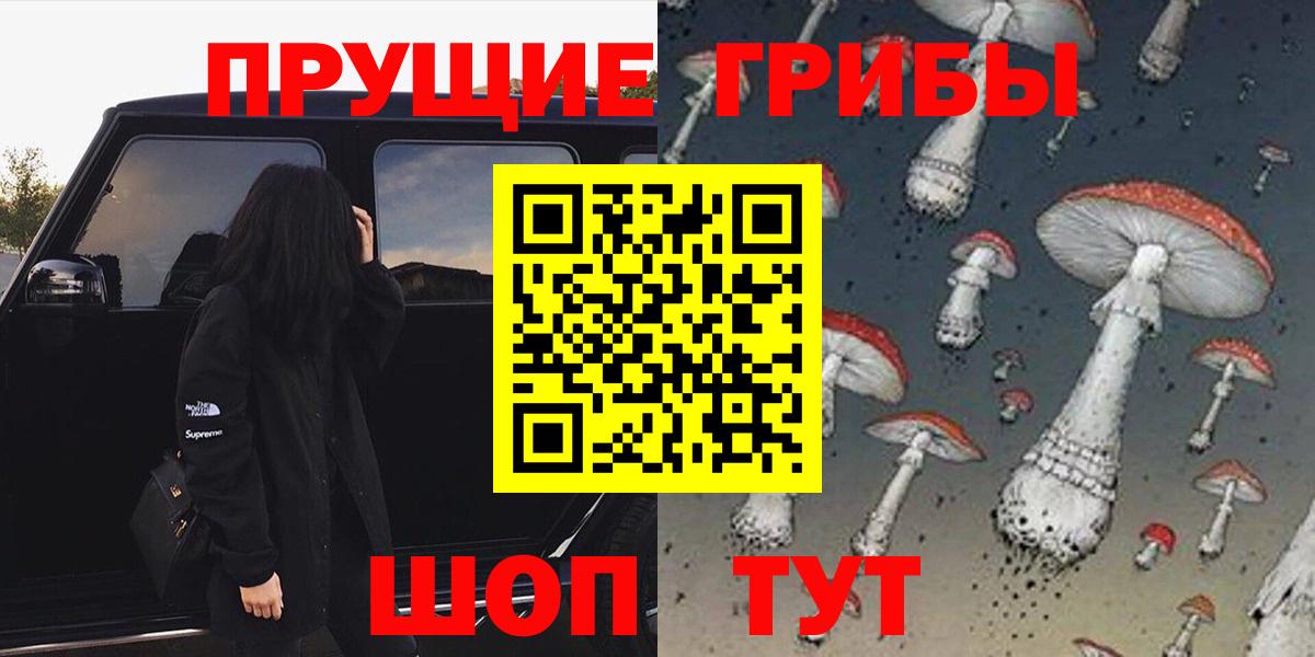 Абинск  Псилоцибиновые грибы Psilocybe  Вход с VPN  Галлюциногенные грибы Psilocybine cubensis 