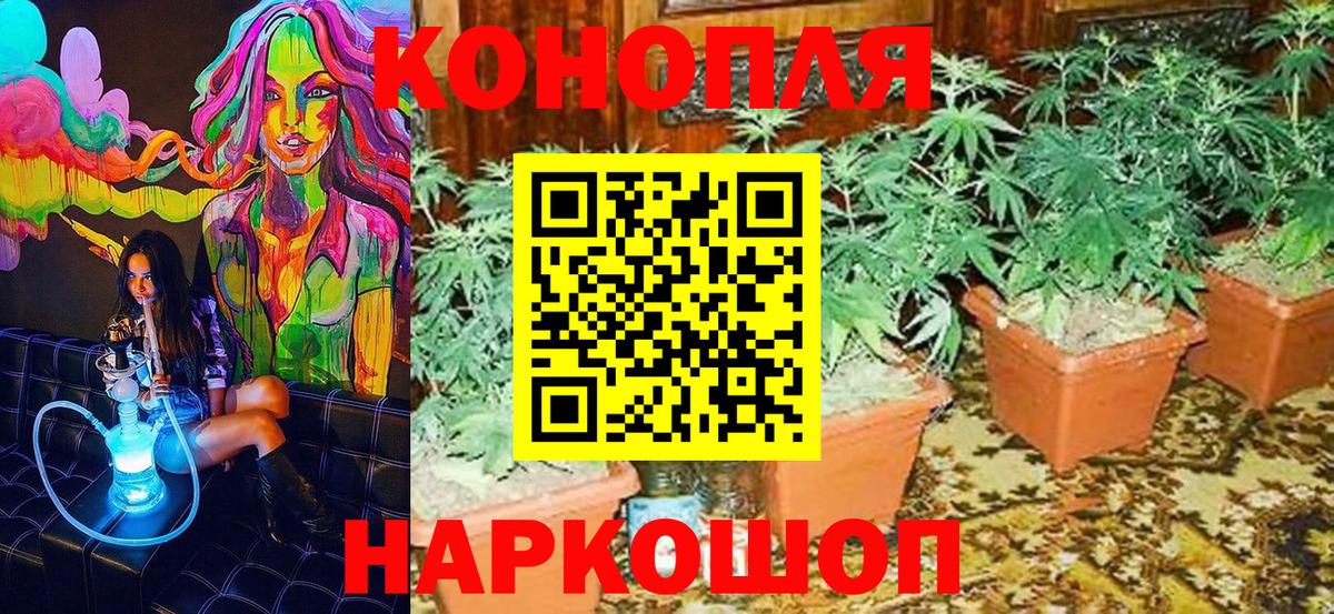 Конопля семена Абинск